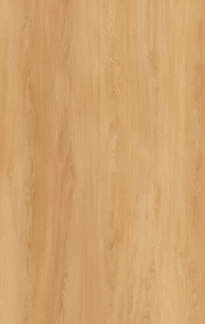 밝은 나무 질감의 바닥 또는 벽면 패턴이 보인다. Description generated by AI
